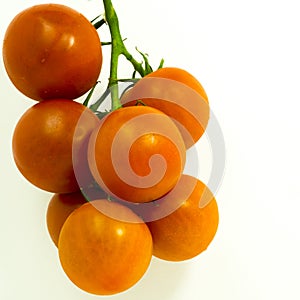 Vine Tomatos