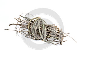 Vine tree branches isolated on white background