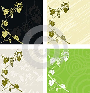 Vine vignette - wine labels photo