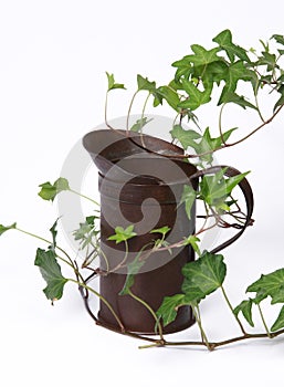 Vine and vintage water container