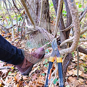 Vinecutters tool and boot