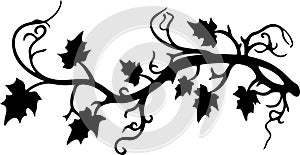 vinegarroon Black Silhouette Generative Ai