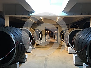 Vinemaking cellar winelovers winemaking Romania