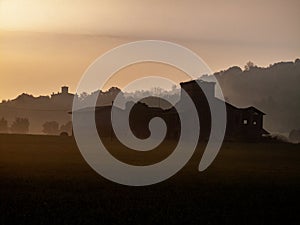 Vines aerial photographs lambrusco and trebbiano hills modena italia