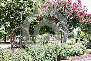 Vines and Flowers in a Garden at the West Tennessee Agricultural Research Center