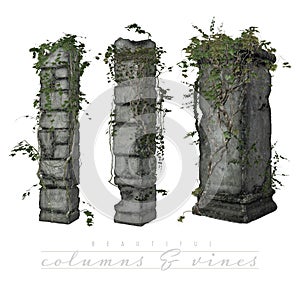 Vines growing on old columns