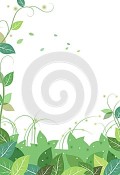 Vines and leaves background