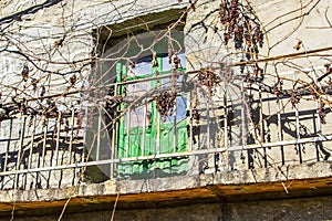 Vines overrun the balcony of a house