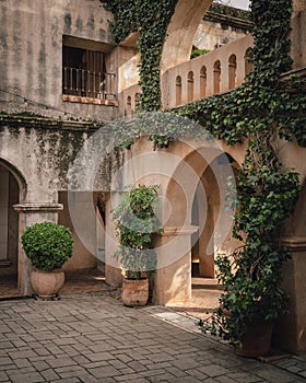 Vines and plants at Tlaquepaque, Sedona, Arizona