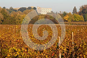 Vines and trees with colorful leaves and the distant castle Catajo illuminated by the sun in the province of Padua in Veneto (Ital photo