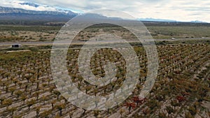 Vineyard by the Andes mountains in Mendoza, Argentina on a cloudy autumn day.
