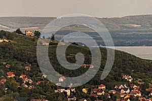 Vineyard in Badacsony, famous vine region in Balaton Highland, Hungary. Vine farm aerial view