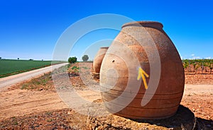 Vineyard in Castile La Mancha of Spain