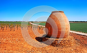 Vineyard in Castile La Mancha of Spain