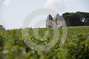 Vineyard castle