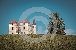 Vineyard castle with big tree and blue sky