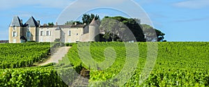 Vineyard and Chateau d`Yquem, Sauternes Region, Aquitaine, Franc