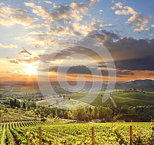 Vineyard in Chianti, Tuscany photo
