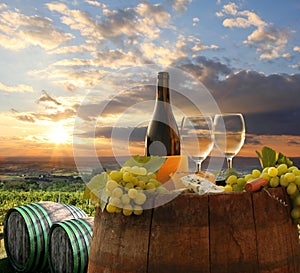 Vineyard in Chianti, Tuscany