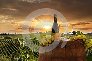 Vineyard in Chianti, Tuscany