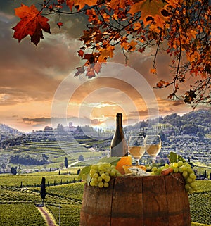 Vineyard in Chianti, Tuscany photo