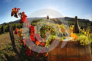 Vineyard in Chianti, Tuscany