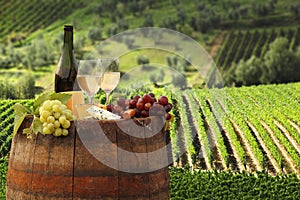 Vineyard in Chianti, img