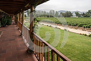 Vineyard in Colchagua Valley Chile