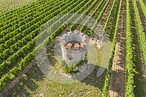 A vineyard cottage in Rheinhessen / Germany from above