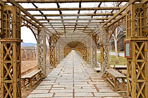 Corridor in Vineyard