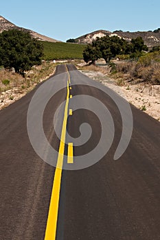 Vineyard Countty Road