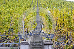 vineyard Doctor, Bernkastel, Rheinland Pfalz, Germany
