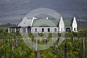 Vineyard Farmhouse Buildings