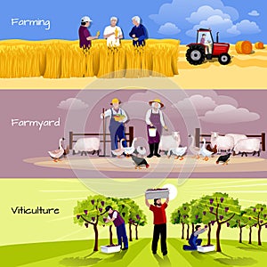 Vineyard Farmyard Crop Harvesting Flat Banners photo