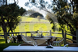 Vineyard in Ferguson Valley photo