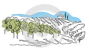 Vineyard field simple vector sketch illustration. One continuous line art drawing of landscape with growing grape