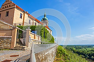 Vineyard in front of the castle MÃâºlnÃÂ­k Bohemia photo
