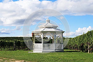 Vineyard Gazebo II