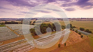 Vineyard in Gippsland, Australia