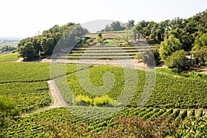 Vineyard of hill Saint-Emilion France near Bordeaux