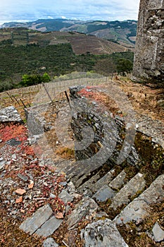 Vineyard hills in the river Douro valley, Portugal