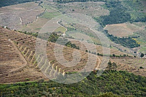 Vineyard hills in the river Douro valley, Portugal