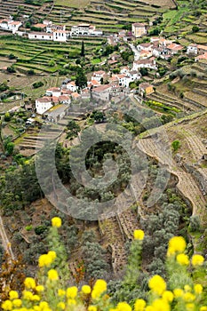 Vineyard hills in the river Douro valley, Portugal