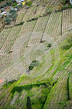 Vineyard hills in the river Douro valley, Portugal