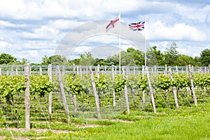 Vineyard, Kent, England