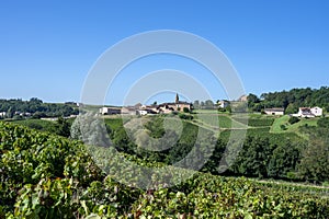 Vineyard landscape around the village of Saint-Verand in France in Beaujolais photo