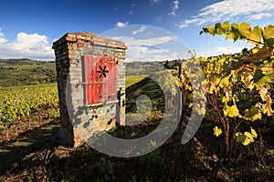 Vineyard landscape in autumn with typical artesian well