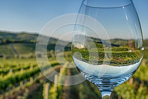 Vineyard landscape beautifully captured through a wine glass