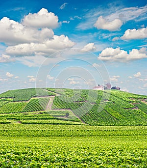 Vineyard landscape cloudy blue sky. Champagne France