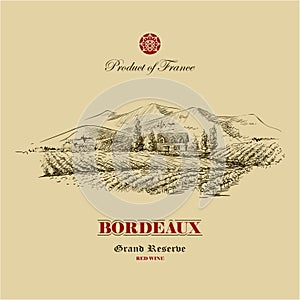 Vineyard landscape hand drawn, wine label design template